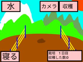 スイカ栽培ゲーム