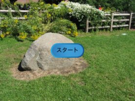 ペット成長クリッカー